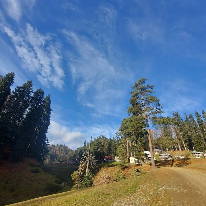 Balıklı Yayla Kamp alanı