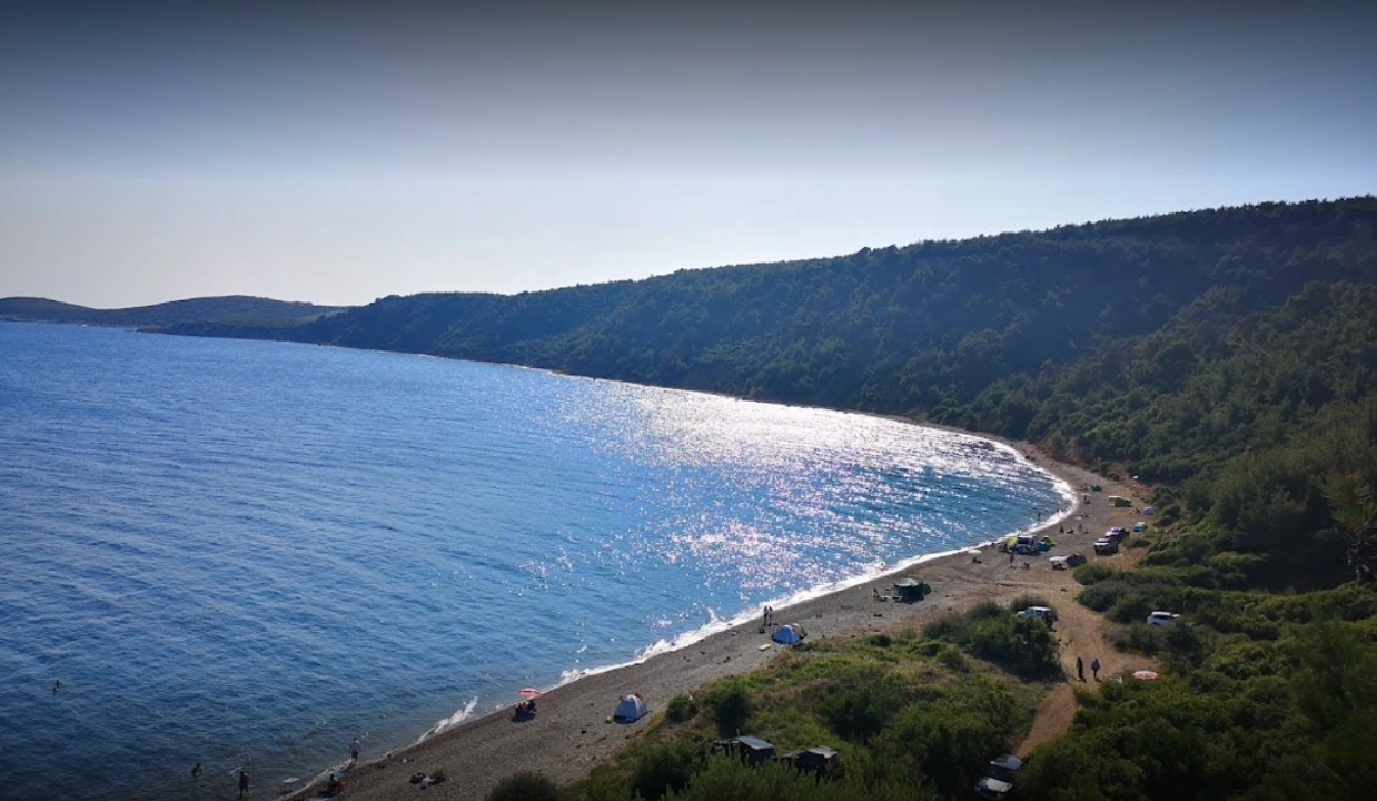 Sait Faik Abasıyanık Koyu Alanı
