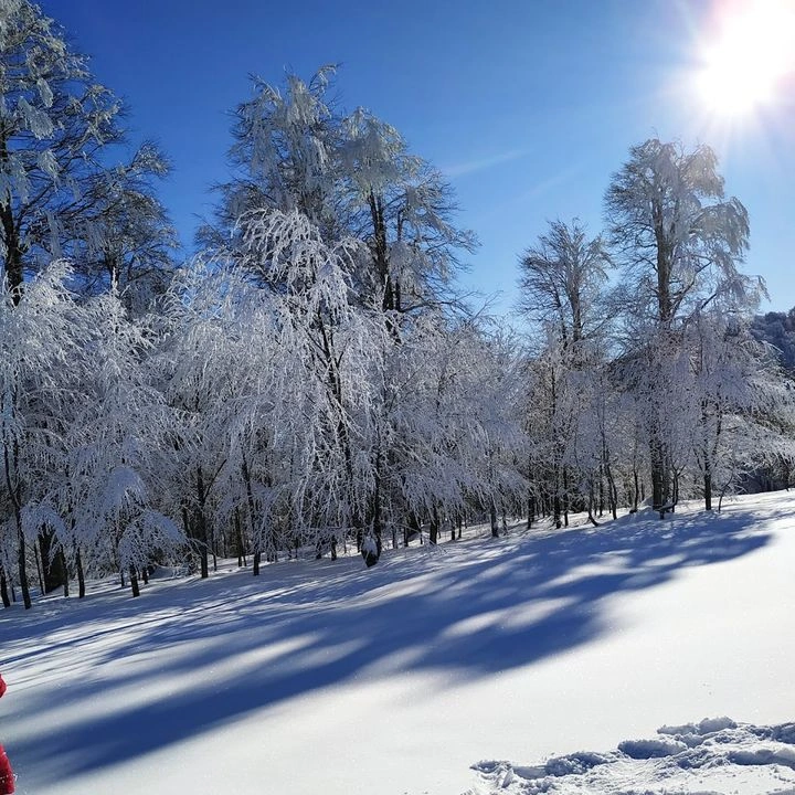 Kuzuyayla Tabiat Parkı Alanı
