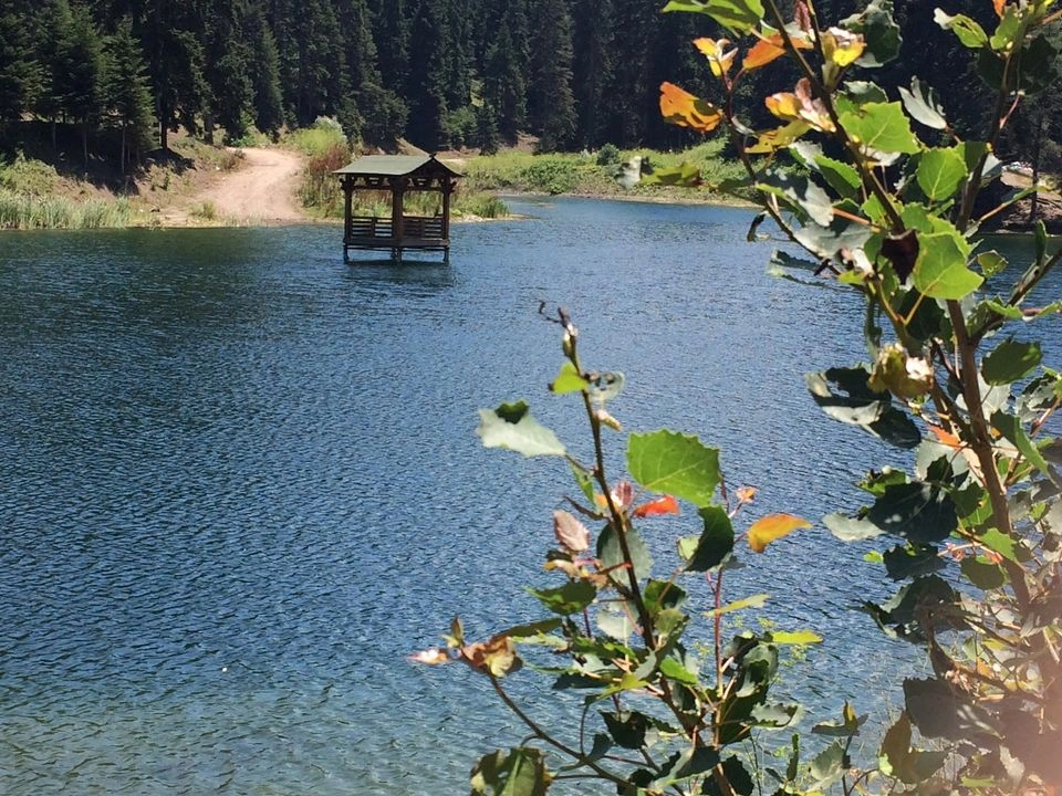 Akgöl Alanı