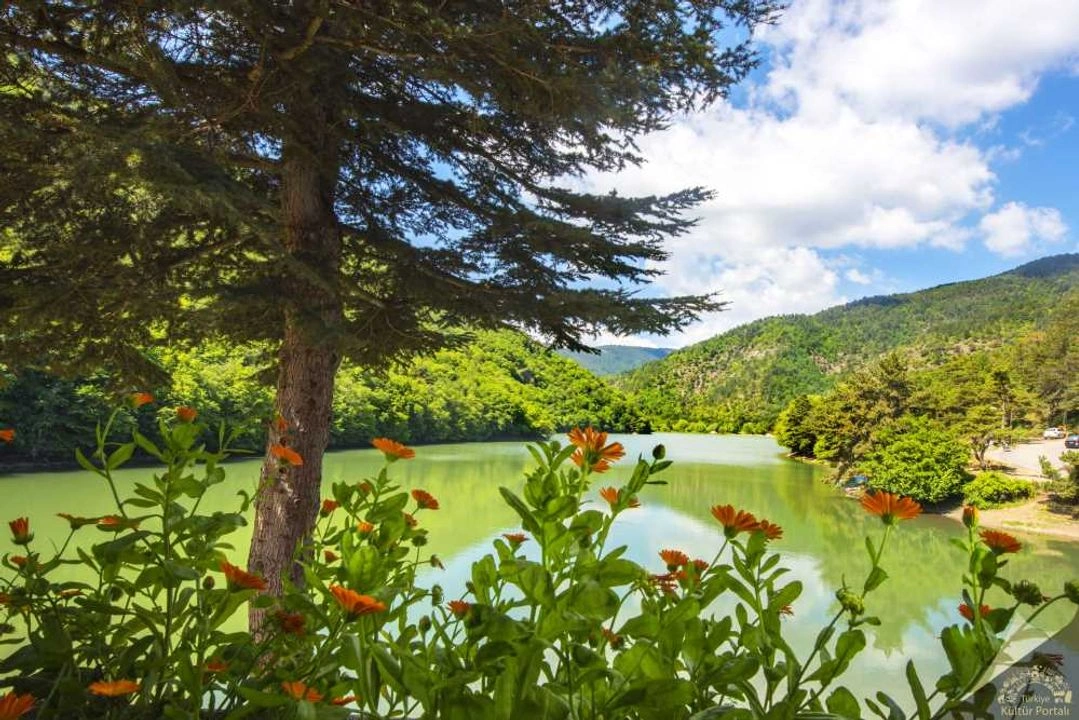 Borabay Gölü Alanı