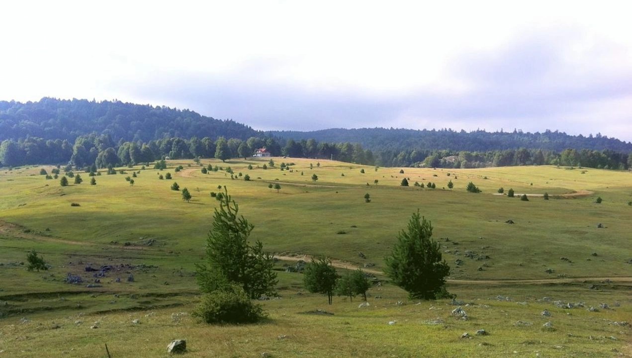 Soğucak Yaylası Alanı