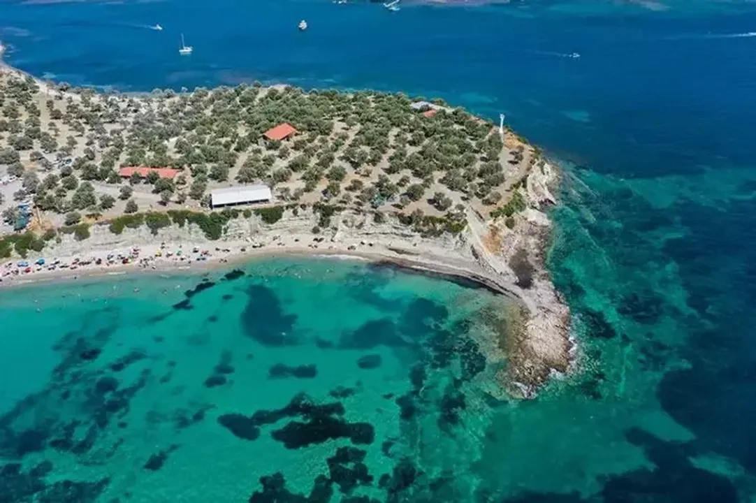 Pissa Koyu Alanı