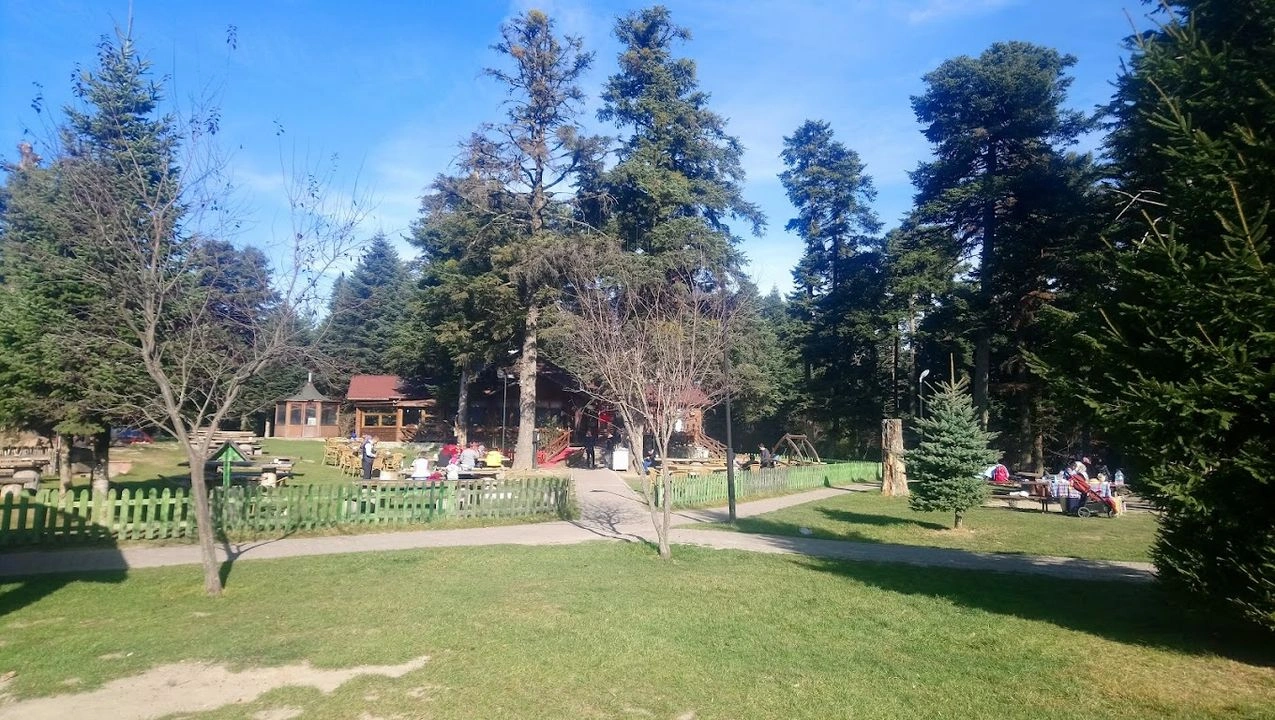 Bolu Gölcük Tabiat Parkı Kamp alanı