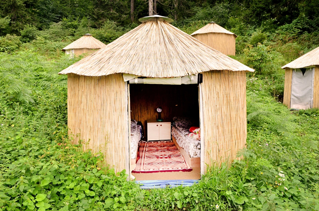 Livera Camping Alanı